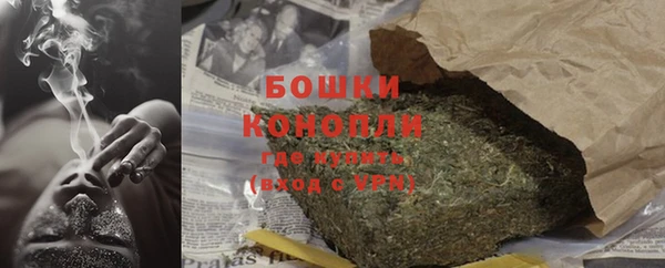 дмт Белокуриха