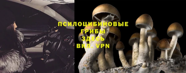 дмт Белокуриха